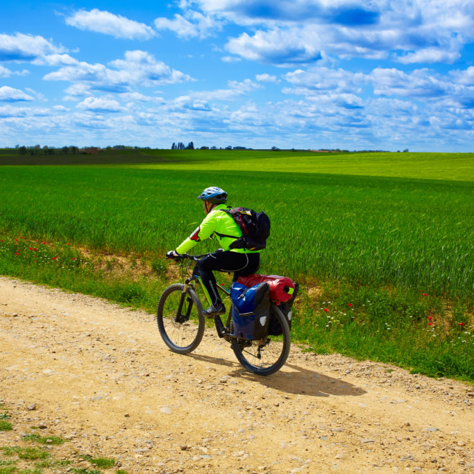 Biker on The Way of Saint James in Castilla Leon Biker on The Way of Saint James in Castilla Leon cereal fields of Spain